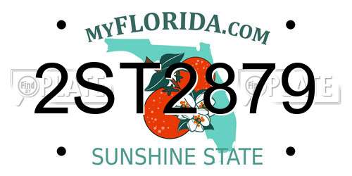 2ST2879 Florida License Plate