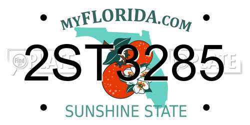 2ST3285 Florida License Plate
