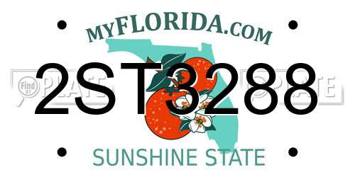 2ST3288 Florida License Plate