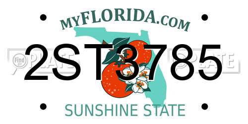 2ST3785 Florida License Plate