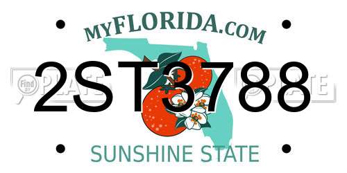 2ST3788 Florida License Plate