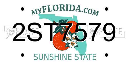 2ST7579 Florida License Plate