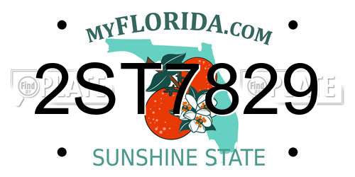 2ST7829 Florida License Plate