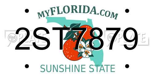 2ST7879 Florida License Plate
