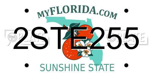 2STE255 Florida License Plate