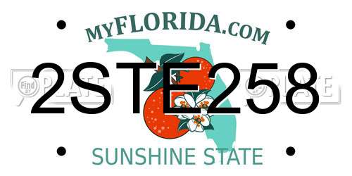 2STE258 Florida License Plate