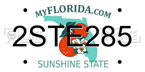 2STE285 Florida License Plate
