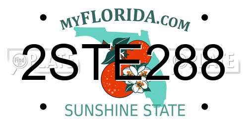 2STE288 Florida License Plate
