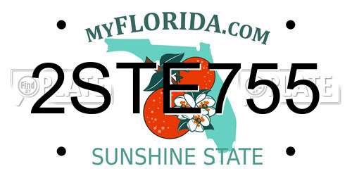 2STE755 Florida License Plate
