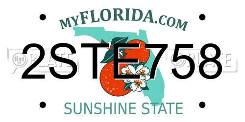 2STE758 Florida License Plate