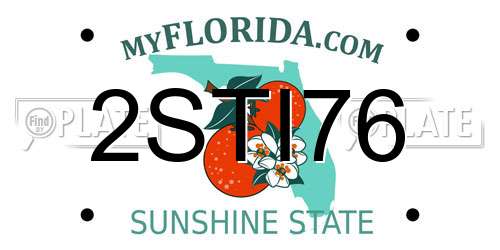 2STI76 Florida License Plate