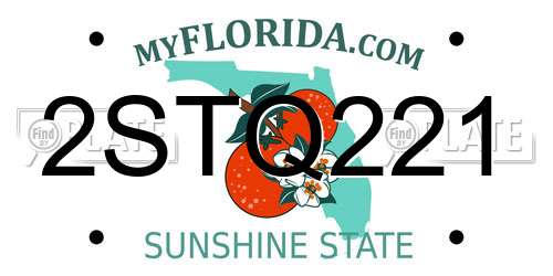 2STQ221 Florida License Plate