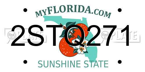 2STQ271 Florida License Plate