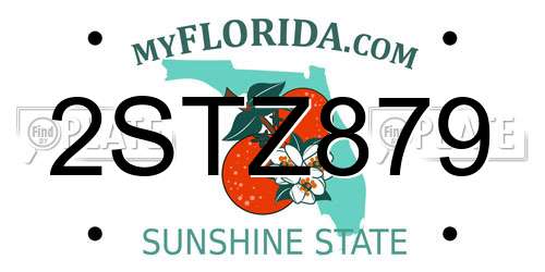 2STZ879 Florida License Plate
