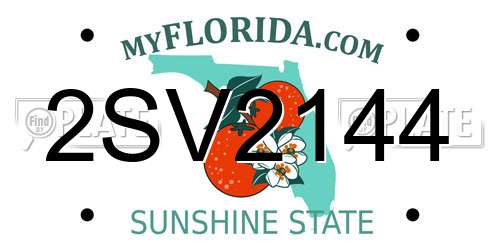 2SV2144 Florida License Plate