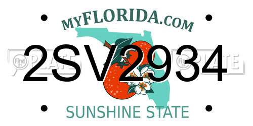 2SV2934 Florida License Plate