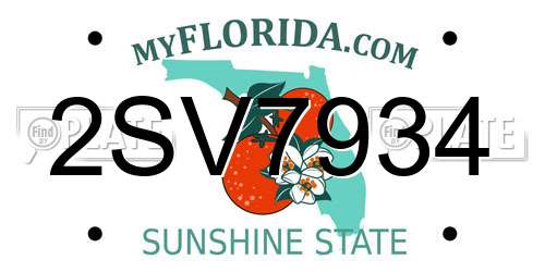 2SV7934 Florida License Plate