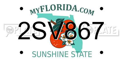 2SV867 Florida License Plate