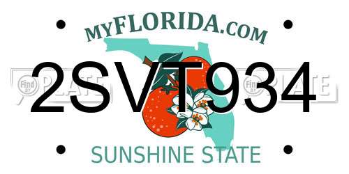 2SVT934 Florida License Plate