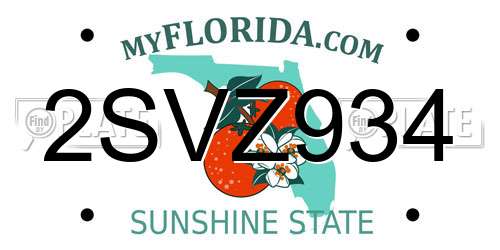 2SVZ934 Florida License Plate