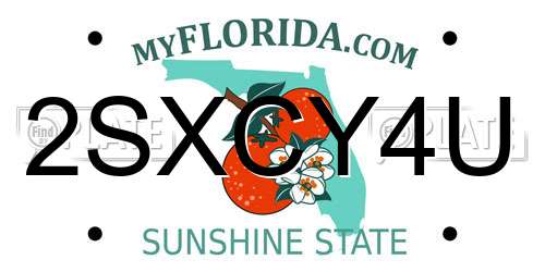 2SXCY4U Florida License Plate