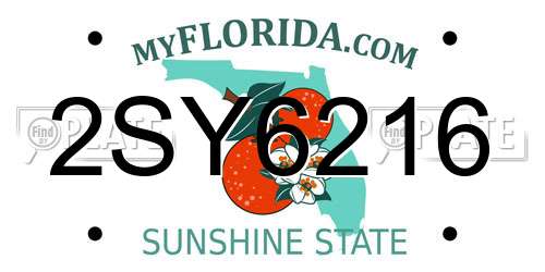 2SY6216 Florida License Plate