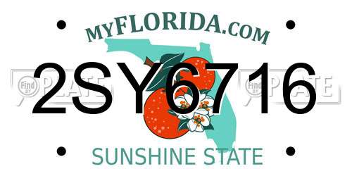 2SY6716 Florida License Plate