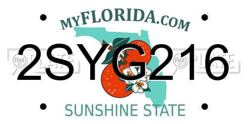 2SYG216 Florida License Plate
