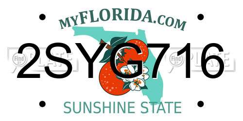 2SYG716 Florida License Plate