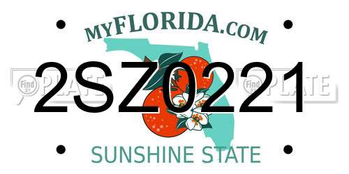 2SZ0221 Florida License Plate