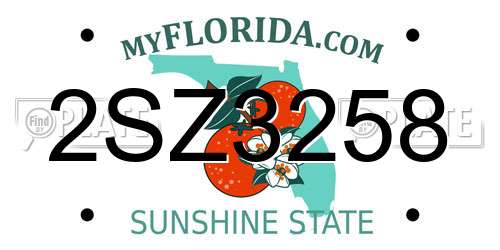 2SZ3258 Florida License Plate
