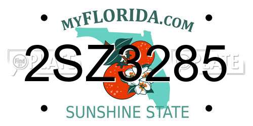 2SZ3285 Florida License Plate