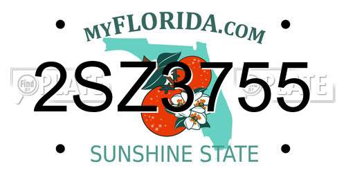 2SZ3755 Florida License Plate