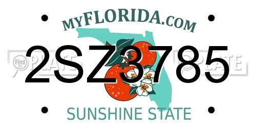 2SZ3785 Florida License Plate
