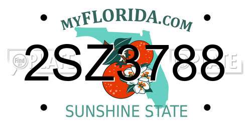2SZ3788 Florida License Plate