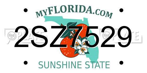 2SZ7529 Florida License Plate