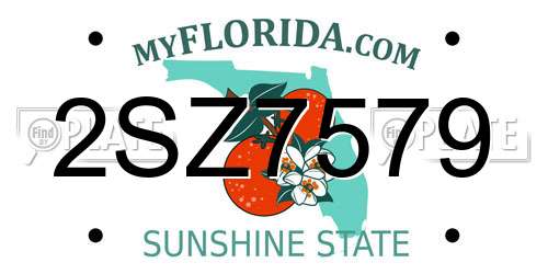 2SZ7579 Florida License Plate