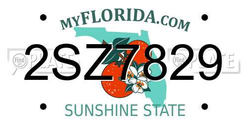 2SZ7829 Florida License Plate