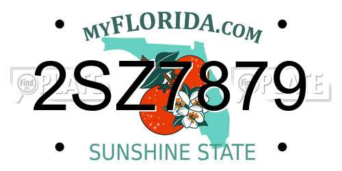 2SZ7879 Florida License Plate