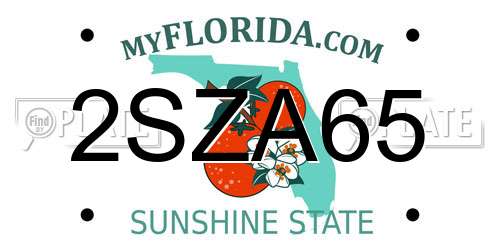 2SZA65 Florida License Plate
