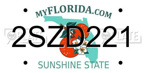 2SZD221 Florida License Plate