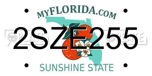 2SZE255 Florida License Plate