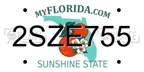 2SZE755 Florida License Plate