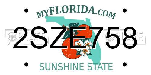 2SZE758 Florida License Plate