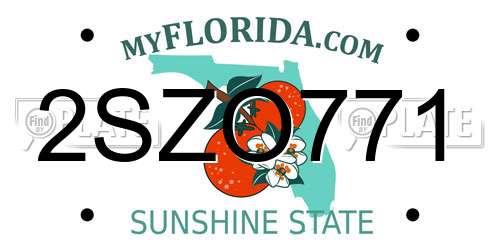 2SZO771 Florida License Plate
