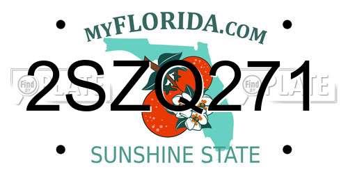 2SZQ271 Florida License Plate