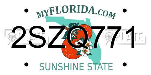 2SZQ771 Florida License Plate