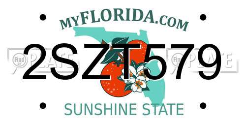 2SZT579 Florida License Plate