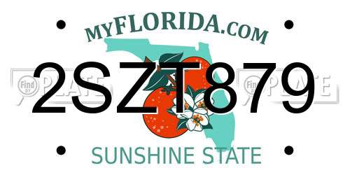 2SZT879 Florida License Plate