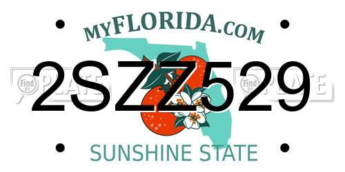 2SZZ529 Florida License Plate